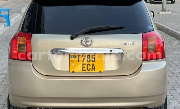 Buy Used Toyota Allex Beige Car in Dar es Salaam in Dar es Salaam Buy Used Toyota Allex Beige Car in Dar es Salaam in Dar es Salaam