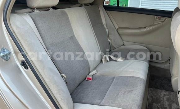 Buy Used Toyota Allex Beige Car in Dar es Salaam in Dar es Salaam Buy Used Toyota Allex Beige Car in Dar es Salaam in Dar es Salaam
