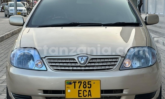 Buy Used Toyota Allex Beige Car in Dar es Salaam in Dar es Salaam Buy Used Toyota Allex Beige Car in Dar es Salaam in Dar es Salaam