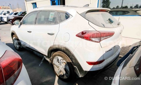 Buy Import Hyundai Tucson White Car in Import - Dubai in Arusha Buy Import Hyundai Tucson White Car in Import - Dubai in Arusha