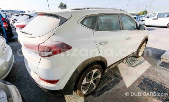 Buy Import Hyundai Tucson White Car in Import - Dubai in Arusha Buy Import Hyundai Tucson White Car in Import - Dubai in Arusha