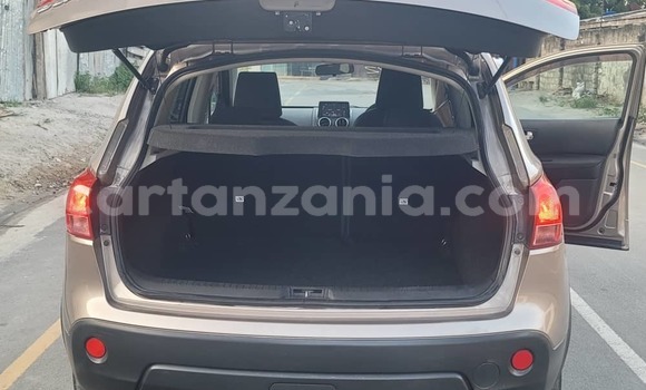 Buy Used Nissan Dualis Beige Car in Dar es Salaam in Dar es Salaam