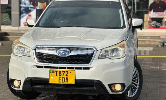 Buy Used Subaru Forester White Car in Dar es Salaam in Dar es Salaam