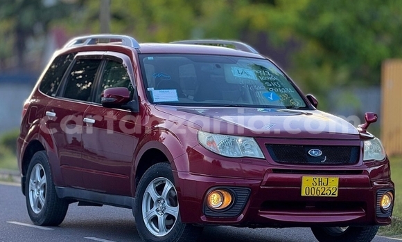 Buy Import Subaru Forester Other Car in Dar es Salaam in Dar es Salaam