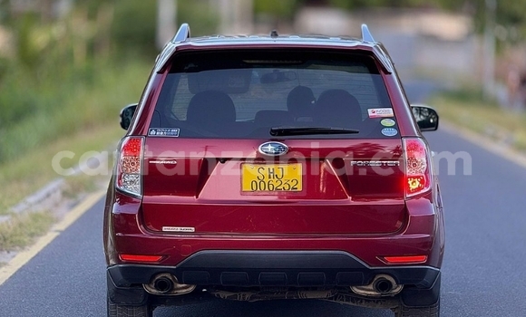 Buy Import Subaru Forester Other Car in Dar es Salaam in Dar es Salaam Buy Import Subaru Forester Other Car in Dar es Salaam in Dar es Salaam