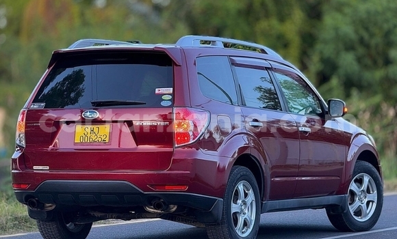 Buy Import Subaru Forester Other Car in Dar es Salaam in Dar es Salaam Buy Import Subaru Forester Other Car in Dar es Salaam in Dar es Salaam