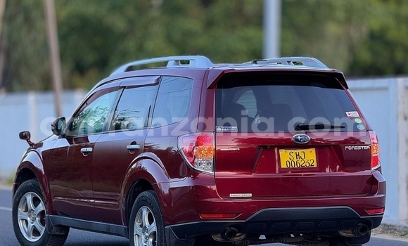 Buy Import Subaru Forester Other Car in Dar es Salaam in Dar es Salaam Buy Import Subaru Forester Other Car in Dar es Salaam in Dar es Salaam