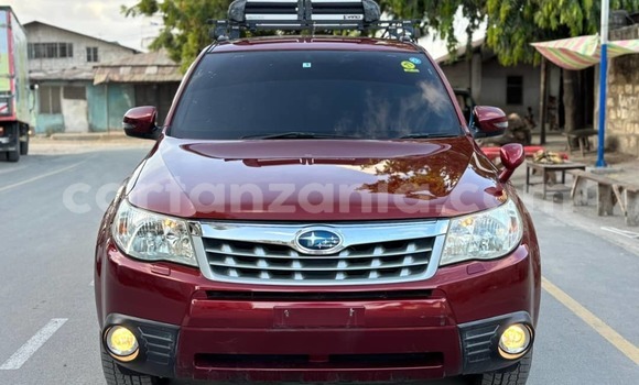 Buy Used Subaru Forester Red Car in Dar es Salaam in Dar es Salaam Buy Used Subaru Forester Red Car in Dar es Salaam in Dar es Salaam