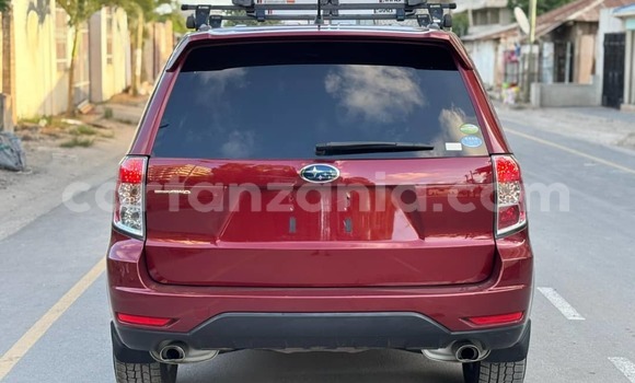 Nunua Ilio tumika Subaru Forester Nyekundu Gari ndani ya Dar es Salaam nchini Dar es Salaam