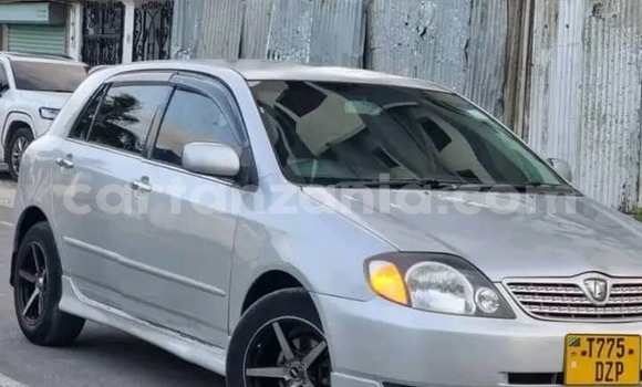 Nunua Ilio tumika Toyota Allex Fedha Gari ndani ya Dar es Salaam nchini Dar es Salaam Nunua Ilio tumika Toyota Allex Fedha Gari ndani ya Dar es Salaam nchini Dar es Salaam