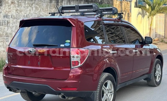 Nunua Ilio tumika Subaru Forester Nyekundu Gari ndani ya Dar es Salaam nchini Dar es Salaam Nunua Ilio tumika Subaru Forester Nyekundu Gari ndani ya Dar es Salaam nchini Dar es Salaam