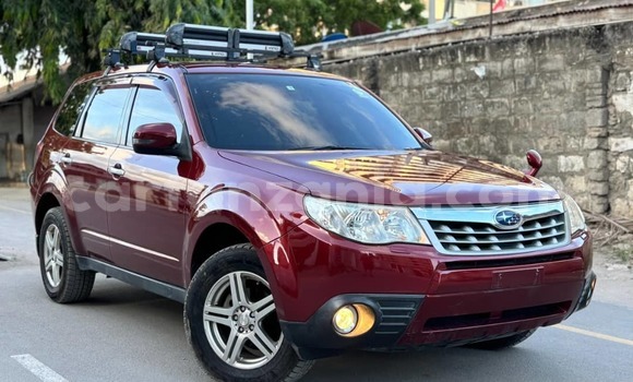 Nunua Ilio tumika Subaru Forester Nyekundu Gari ndani ya Dar es Salaam nchini Dar es Salaam Nunua Ilio tumika Subaru Forester Nyekundu Gari ndani ya Dar es Salaam nchini Dar es Salaam