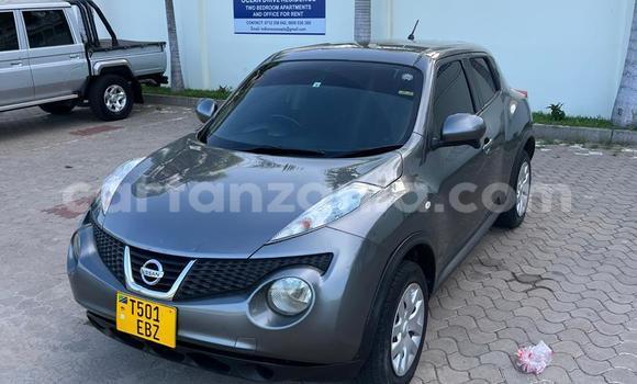 Buy Used Nissan Juke Beige Car in Dar es Salaam in Dar es Salaam