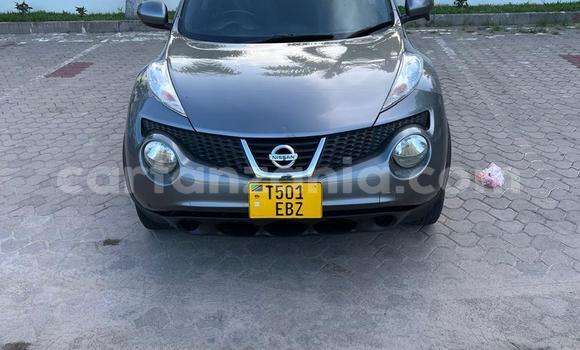 Buy Used Nissan Juke Beige Car in Dar es Salaam in Dar es Salaam