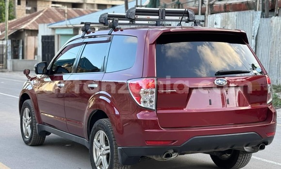 Buy Used Subaru Forester Red Car in Dar es Salaam in Dar es Salaam
