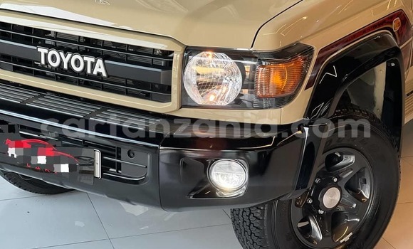 Buy New Toyota DA Other Truck in Chamwino in Dodoma