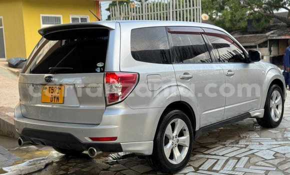 Nunua Ilio tumika Subaru Forester Nyingine Gari ndani ya Dar es Salaam nchini Dar es Salaam Nunua Ilio tumika Subaru Forester Nyingine Gari ndani ya Dar es Salaam nchini Dar es Salaam