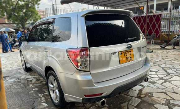 Nunua Ilio tumika Subaru Forester Nyingine Gari ndani ya Dar es Salaam nchini Dar es Salaam Nunua Ilio tumika Subaru Forester Nyingine Gari ndani ya Dar es Salaam nchini Dar es Salaam