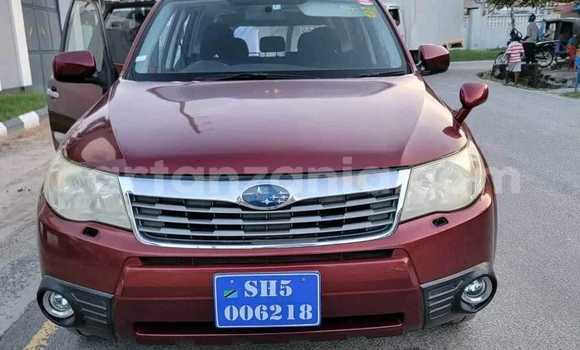 Nunua Ilio tumika Subaru Forester Nyekundu Gari ndani ya Dar es Salaam nchini Dar es Salaam