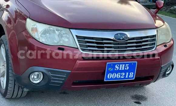 Nunua Ilio tumika Subaru Forester Nyekundu Gari ndani ya Dar es Salaam nchini Dar es Salaam Nunua Ilio tumika Subaru Forester Nyekundu Gari ndani ya Dar es Salaam nchini Dar es Salaam