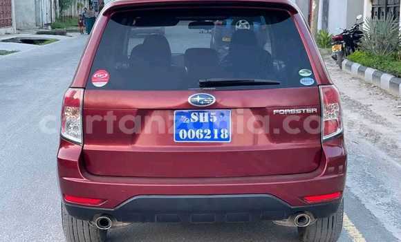 Nunua Ilio tumika Subaru Forester Nyekundu Gari ndani ya Dar es Salaam nchini Dar es Salaam Nunua Ilio tumika Subaru Forester Nyekundu Gari ndani ya Dar es Salaam nchini Dar es Salaam
