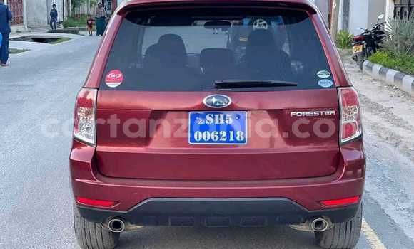 Nunua Ilio tumika Subaru Forester Nyekundu Gari ndani ya Dar es Salaam nchini Dar es Salaam Nunua Ilio tumika Subaru Forester Nyekundu Gari ndani ya Dar es Salaam nchini Dar es Salaam
