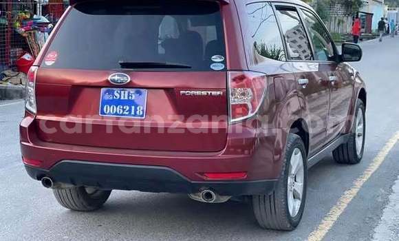 Nunua Ilio tumika Subaru Forester Nyekundu Gari ndani ya Dar es Salaam nchini Dar es Salaam Nunua Ilio tumika Subaru Forester Nyekundu Gari ndani ya Dar es Salaam nchini Dar es Salaam