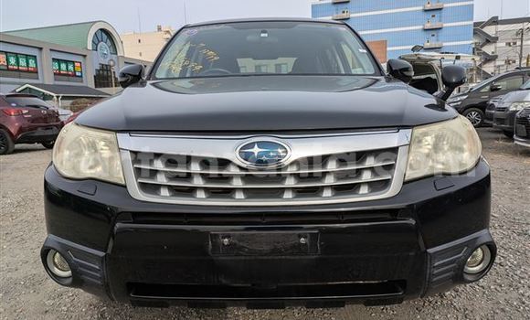 Buy Import Subaru Forester Black Car in Dar es Salaam in Dar es Salaam Buy Import Subaru Forester Black Car in Dar es Salaam in Dar es Salaam