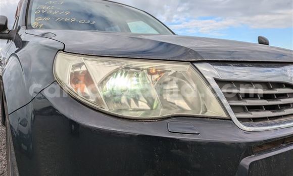 Buy Import Subaru Forester Black Car in Dar es Salaam in Dar es Salaam Buy Import Subaru Forester Black Car in Dar es Salaam in Dar es Salaam
