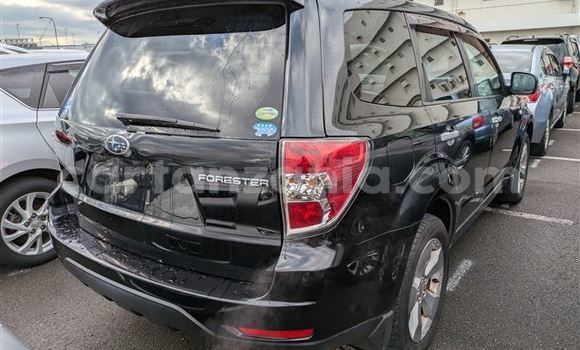 Buy Used Subaru Forester Black Car in Dar es Salaam in Dar es Salaam Buy Used Subaru Forester Black Car in Dar es Salaam in Dar es Salaam