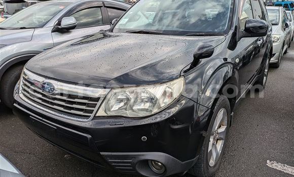 Buy Import Subaru Forester Black Car in Dar es Salaam in Dar es Salaam Buy Import Subaru Forester Black Car in Dar es Salaam in Dar es Salaam