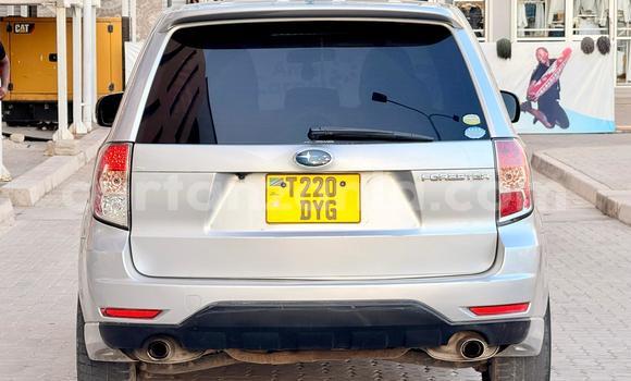 Buy Used Subaru Forester White Car in Dar es Salaam in Dar es Salaam