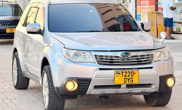 Nunua Ilio tumika Subaru Forester Nyeupe Gari ndani ya Dar es Salaam nchini Dar es Salaam Nunua Ilio tumika Subaru Forester Nyeupe Gari ndani ya Dar es Salaam nchini Dar es Salaam