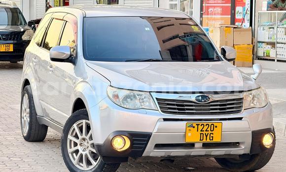Nunua Ilio tumika Subaru Forester Nyeupe Gari ndani ya Dar es Salaam nchini Dar es Salaam Nunua Ilio tumika Subaru Forester Nyeupe Gari ndani ya Dar es Salaam nchini Dar es Salaam