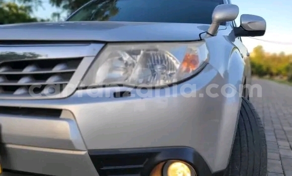 Buy Used Subaru Forester Other Car in Chake Chake in Pemba South Buy Used Subaru Forester Other Car in Chake Chake in Pemba South