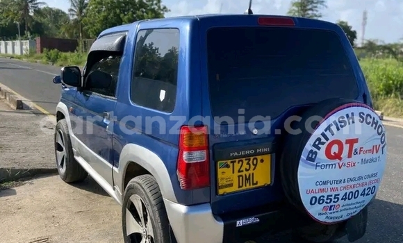 Buy Used Mitsubishi Pajero Other Car in Bunda in Mara