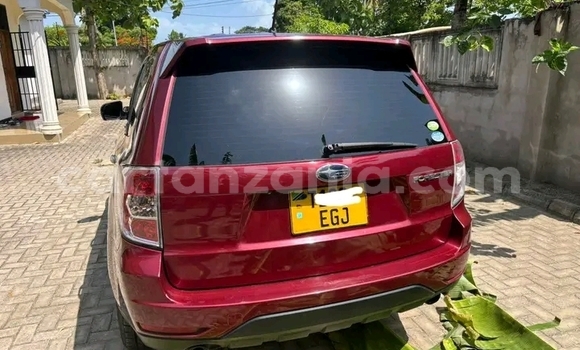 Buy Used Subaru Forester Red Car in Biharamulo in Kagera Buy Used Subaru Forester Red Car in Biharamulo in Kagera