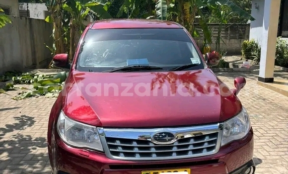 Buy Used Subaru Forester Red Car in Biharamulo in Kagera Buy Used Subaru Forester Red Car in Biharamulo in Kagera