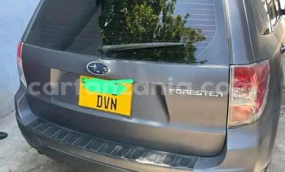 Buy Used Subaru Forester Other Car in Chato in Geita Buy Used Subaru Forester Other Car in Chato in Geita