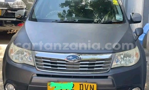 Buy Used Subaru Forester Other Car in Chato in Geita Buy Used Subaru Forester Other Car in Chato in Geita