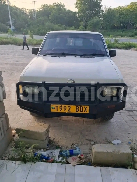 Big with watermark nissan datsun kagera biharamulo 26673