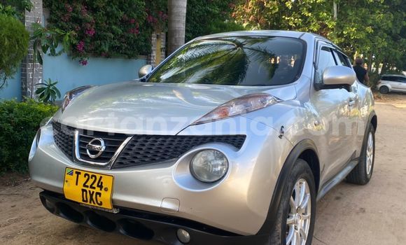 Buy Used Nissan Juke Silver Car in Dar es Salaam in Dar es Salaam