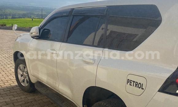 Buy Used Toyota Land Cruiser Prado White Car in Arusha in Arusha Buy Used Toyota Land Cruiser Prado White Car in Arusha in Arusha