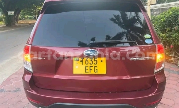 Buy Used Subaru Forester Red Car in Buhigwe in Kigoma Buy Used Subaru Forester Red Car in Buhigwe in Kigoma