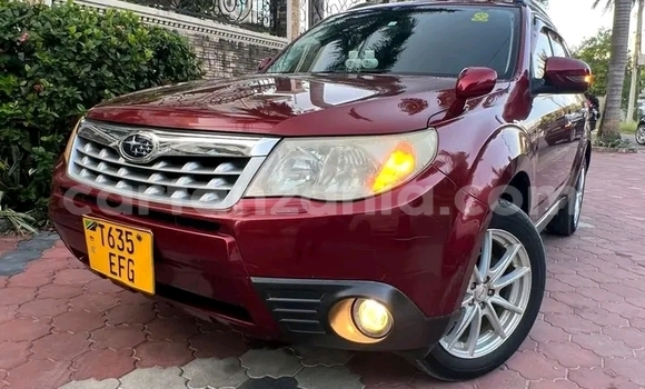 Buy Used Subaru Forester Red Car in Buhigwe in Kigoma Buy Used Subaru Forester Red Car in Buhigwe in Kigoma