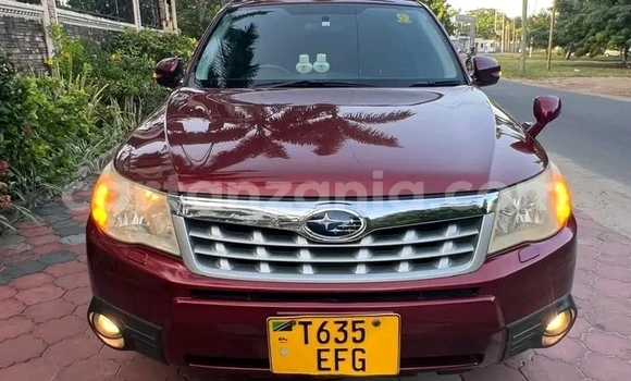 Buy Used Subaru Forester Red Car in Buhigwe in Kigoma Buy Used Subaru Forester Red Car in Buhigwe in Kigoma