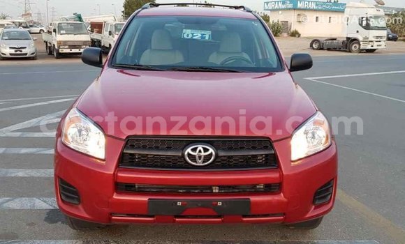 Buy Import Toyota RAV4 Red Car in Import - Dubai in Arusha Buy Import Toyota RAV4 Red Car in Import - Dubai in Arusha