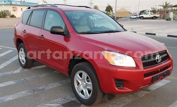 Buy Import Toyota RAV4 Red Car in Import - Dubai in Arusha Buy Import Toyota RAV4 Red Car in Import - Dubai in Arusha