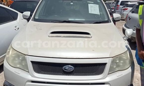Buy Import Subaru Forester White Car in Dar es Salaam in Dar es Salaam Buy Import Subaru Forester White Car in Dar es Salaam in Dar es Salaam