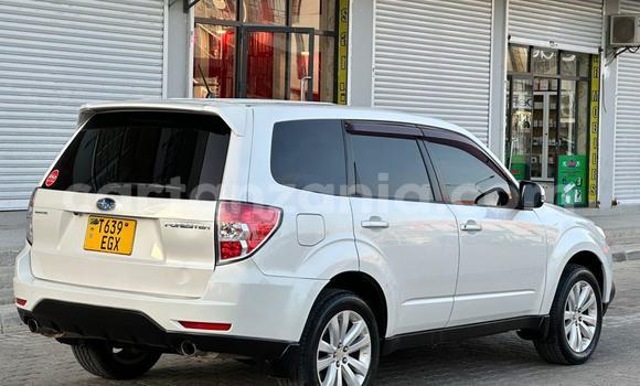 Buy Used Subaru Forester White Car in Dar es Salaam in Dar es Salaam